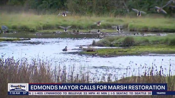 Edmonds Mayor calls for marsh restoration