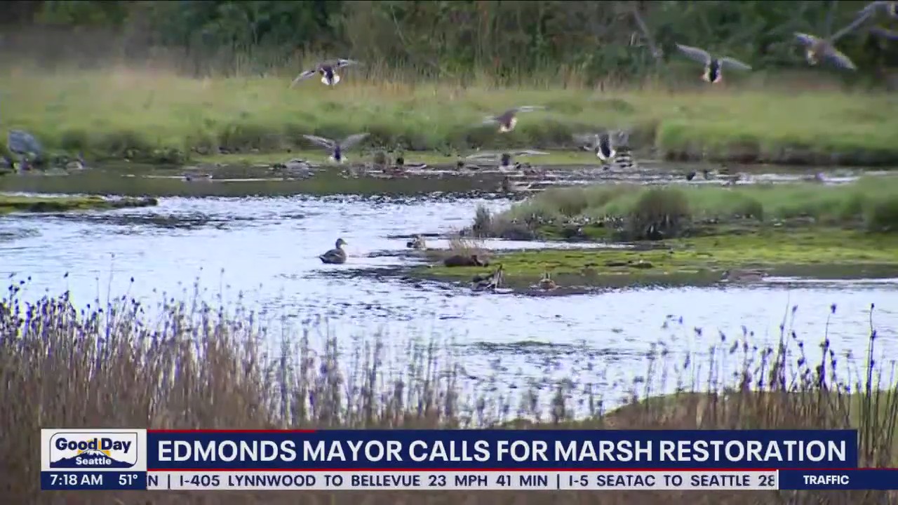 Edmonds Mayor calls for marsh restoration