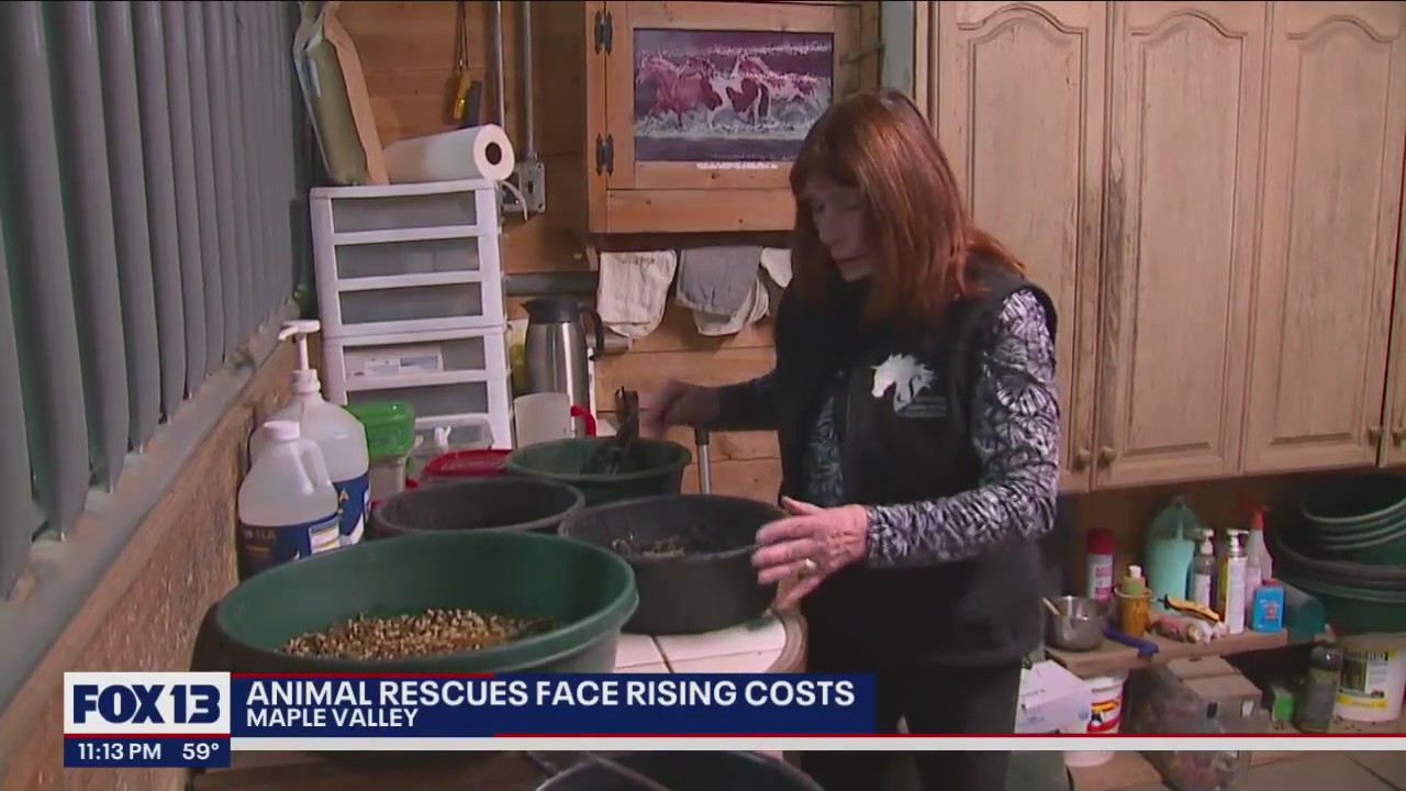 Horse rescue in Maple Valley will stay open despite rising costs, owner says other rescues also struggling