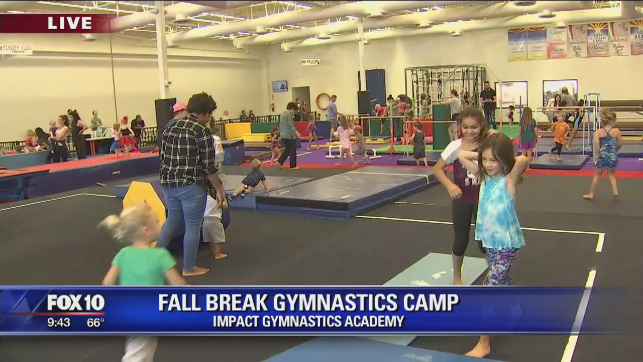 Cory's Corner: Impact Gymnastic Fall Break Camp