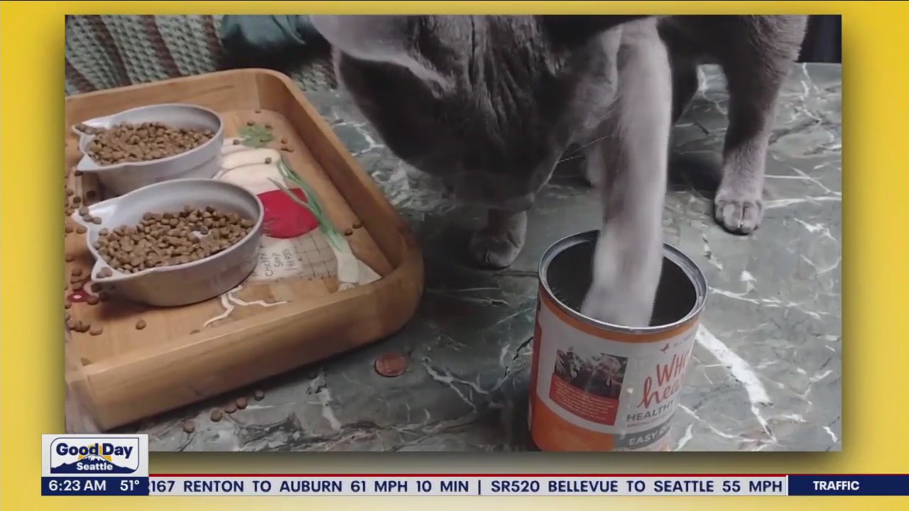 Pet Tricks for Monday, October 2