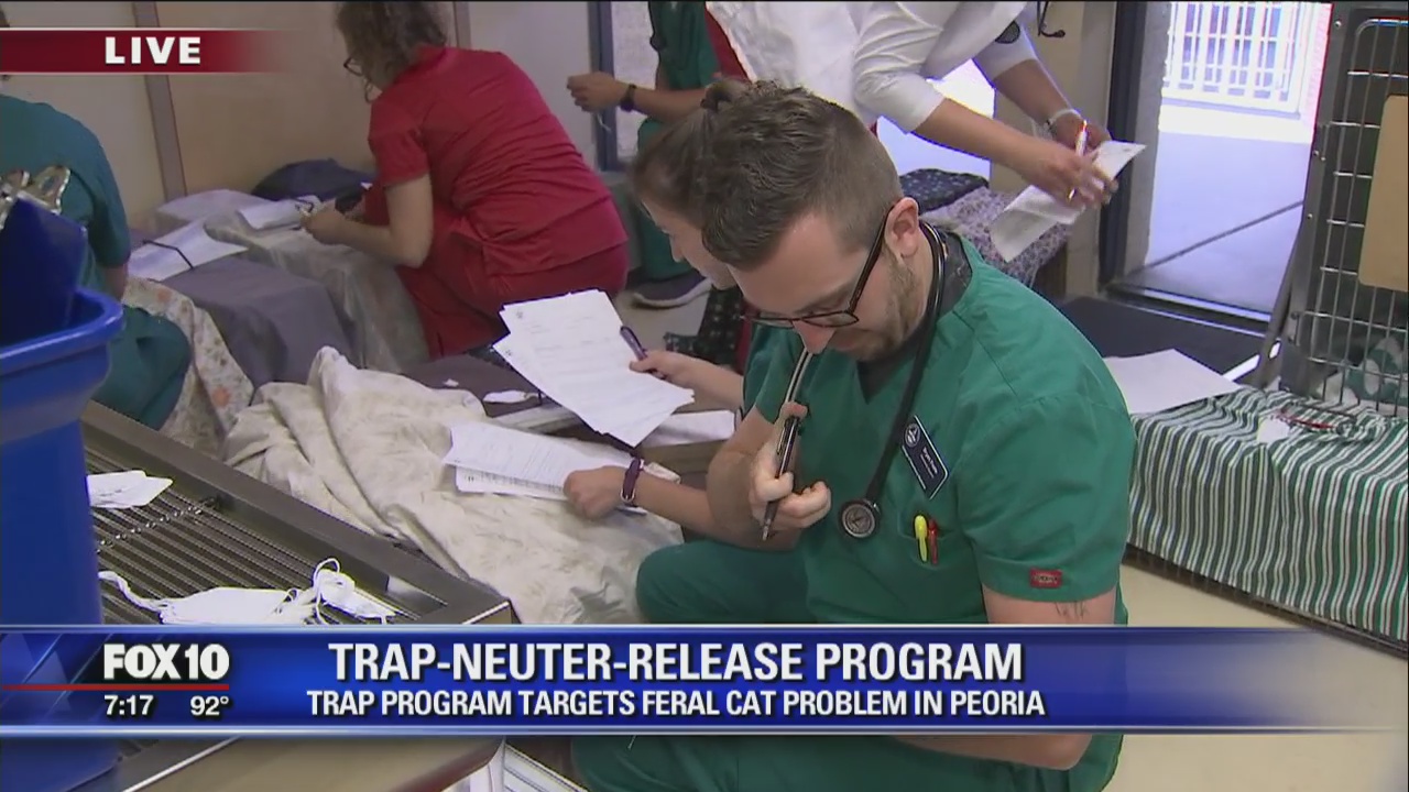 TRAP program targets feral cat problem in Peoria
