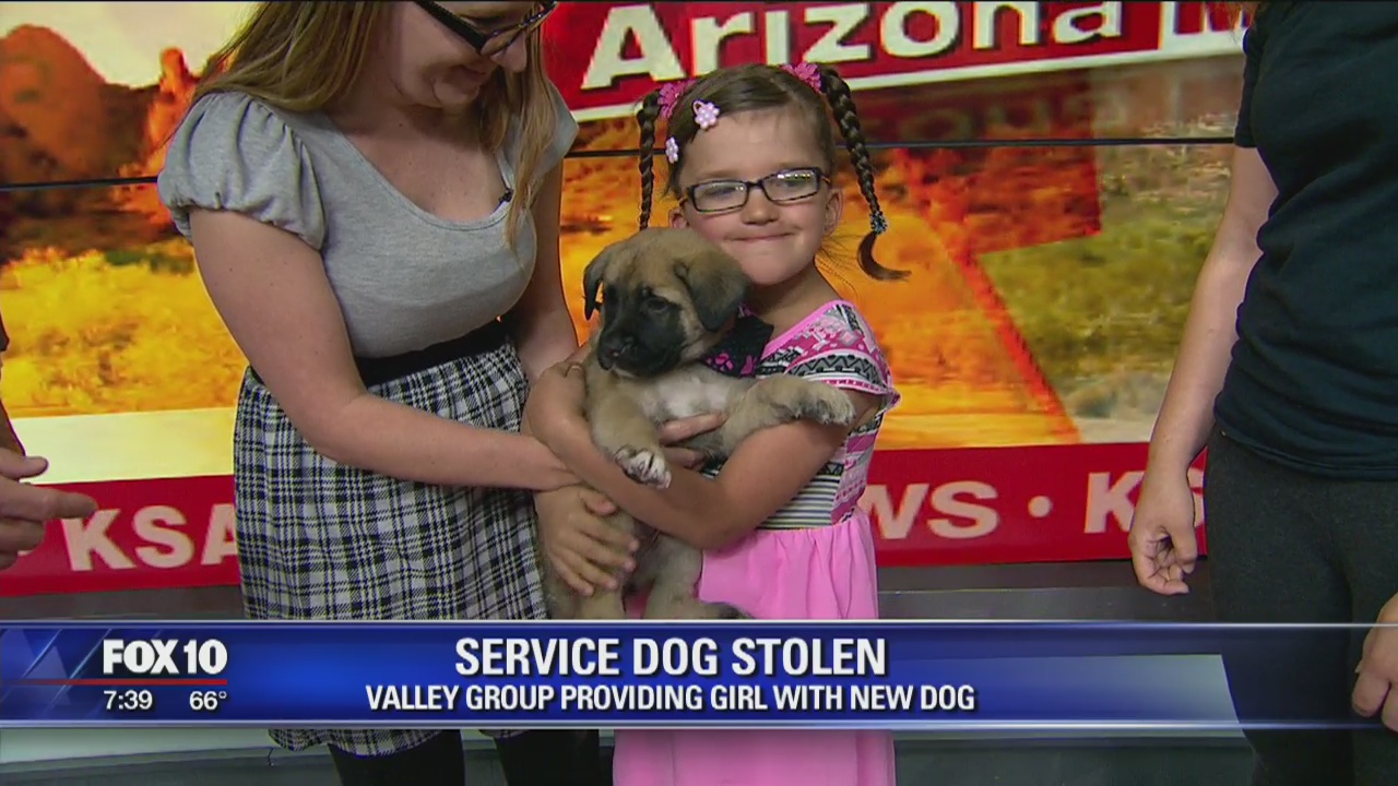 Valley autistic girl gets new puppy after service dog stolen from home