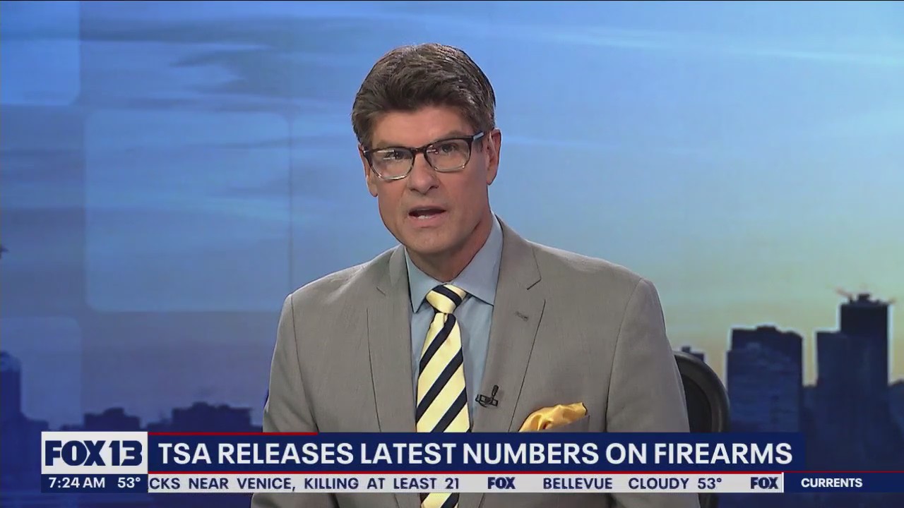 TSA recovers about 20 guns per day in the US