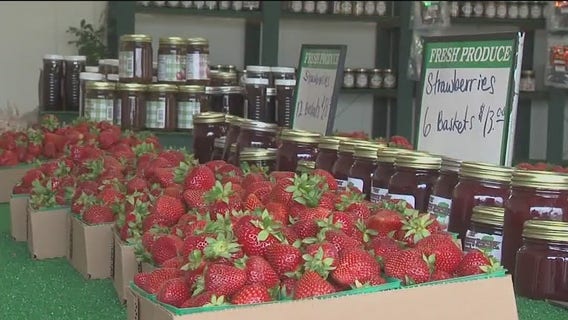 California farmers could fall to tariffs, costing the state's economy