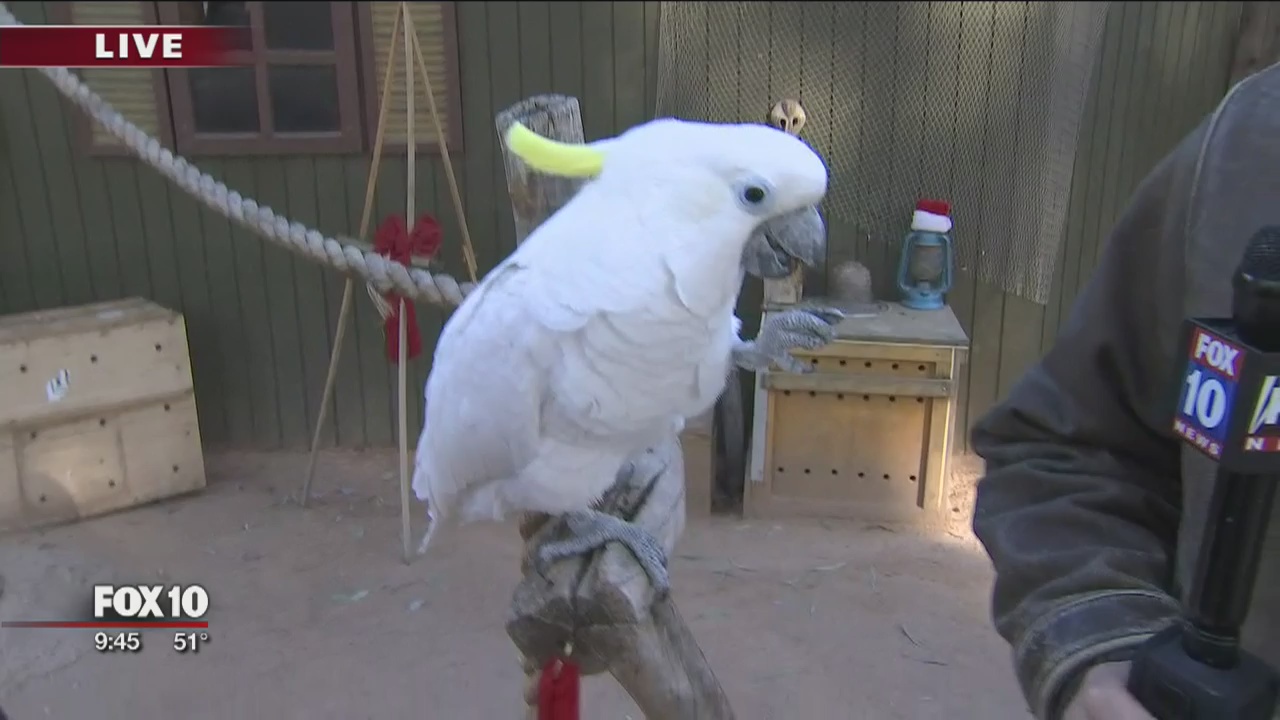 Cory's Corner: Wildlife World Zoo