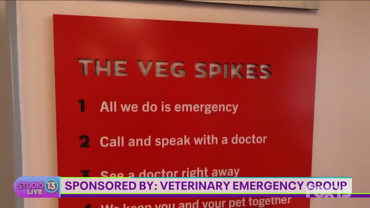 SPONSORED: Veterinary Emergency Group offers 24/7 care for pets in need