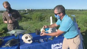 Fun extracurricular activities for kids