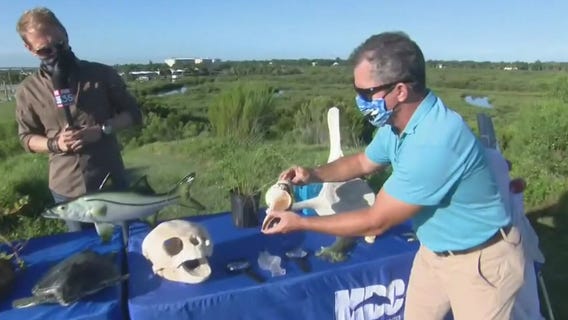 Fun extracurricular activities for kids