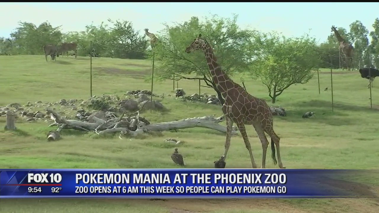 Phoenix Zoo opens early for Pokemon GO players