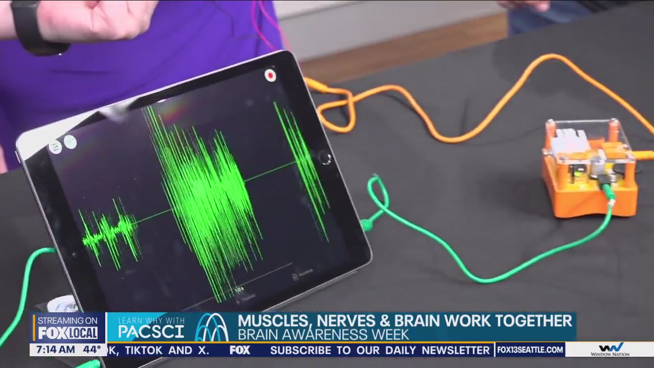 Brain Awareness Week with Pacific Science Center
