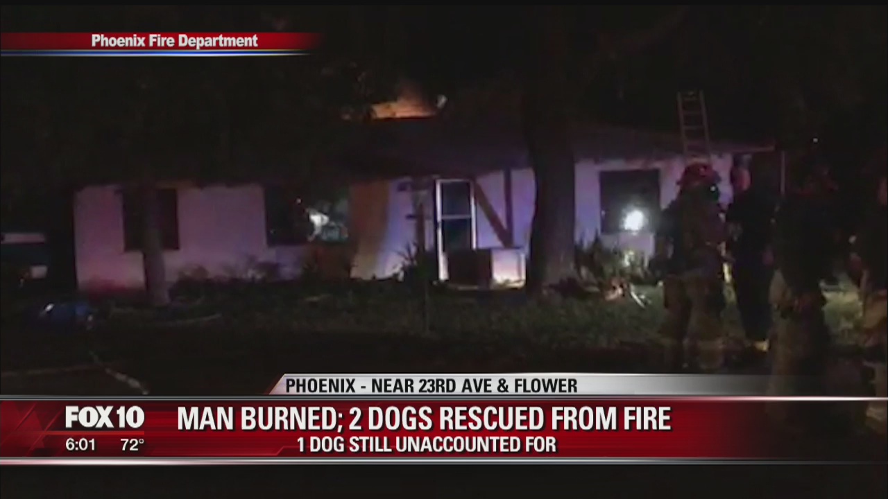 Man injured rescuing dogs