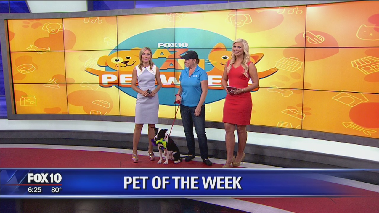 Pet of the Week