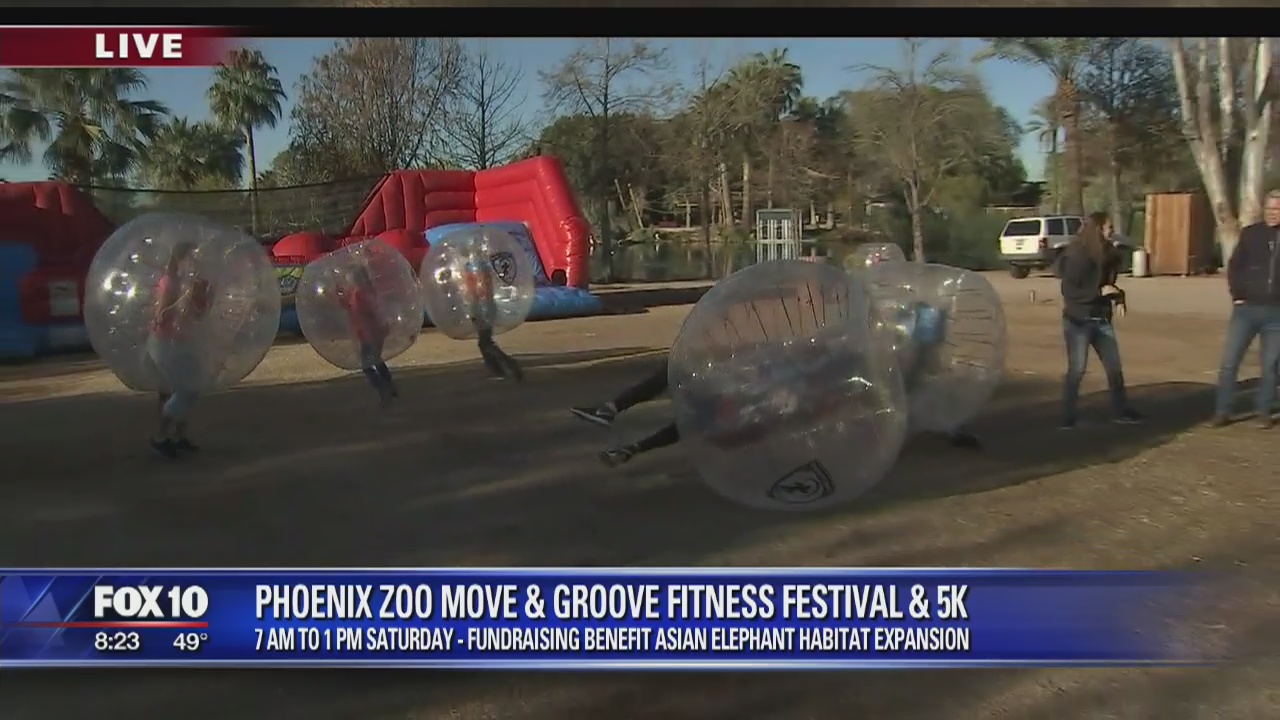 Cory's Corner: Phoenix Zoo Move & Groove