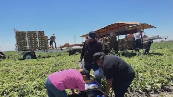 Hjas del Camp: Celebrating five years