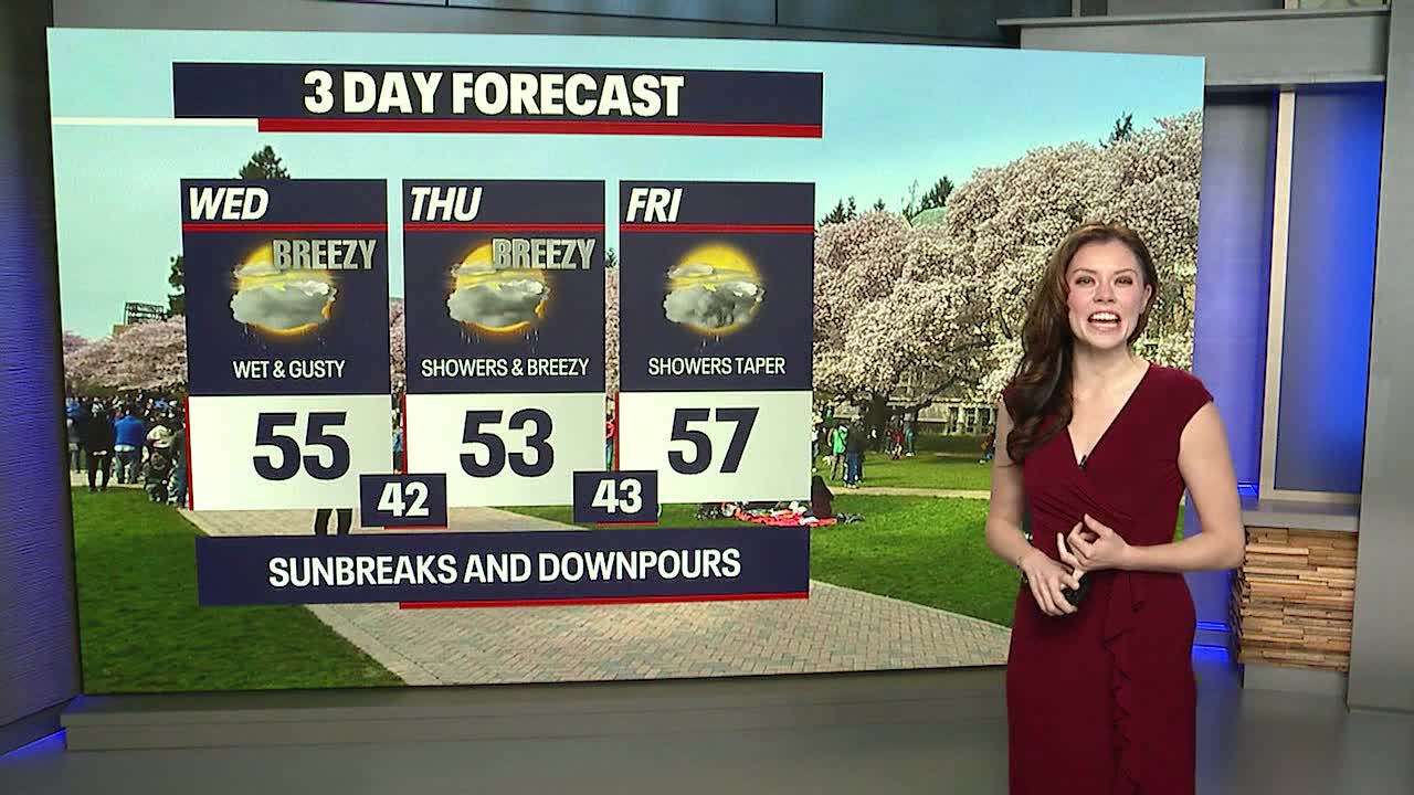 Wide spread rain into Wednesday morning