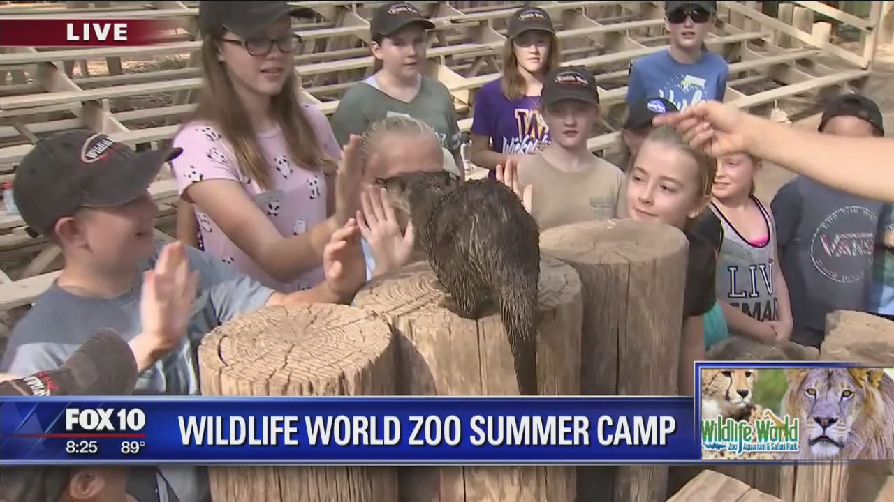 Cory's Corner: Wildlife World Zoo Summer Camp