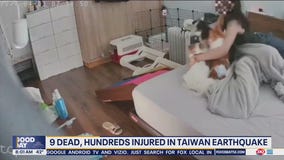 Taiwan earthquake: Woman holds dogs as bedroom shakes violently