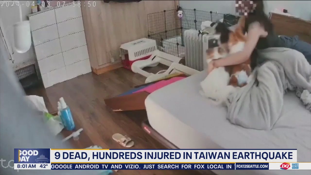 Taiwan earthquake: Woman holds dogs as bedroom shakes violently