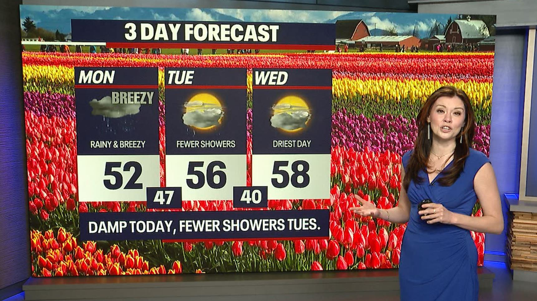 Seattle weather: Damp Monday, fewer showers Tuesday