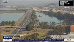 Sunny and unseasonably warm