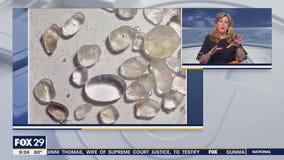 Whatcha Makin?: June 17, 2022