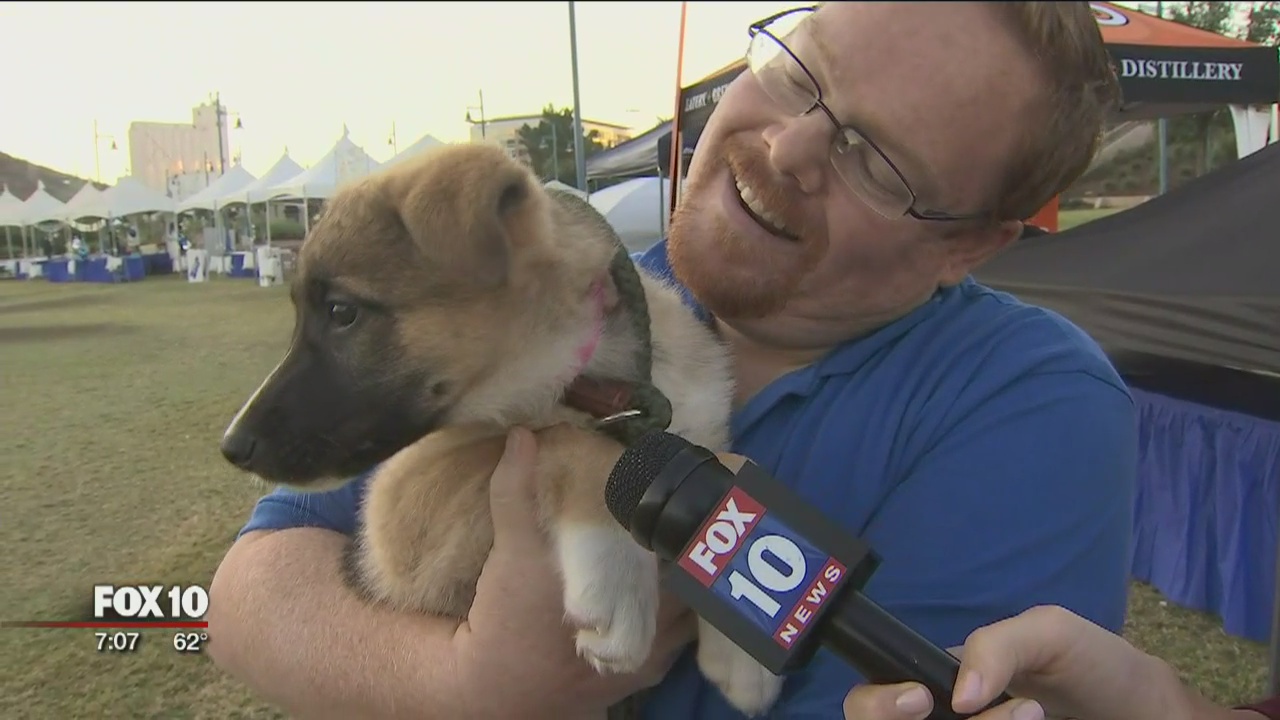 Walk to Save Animals