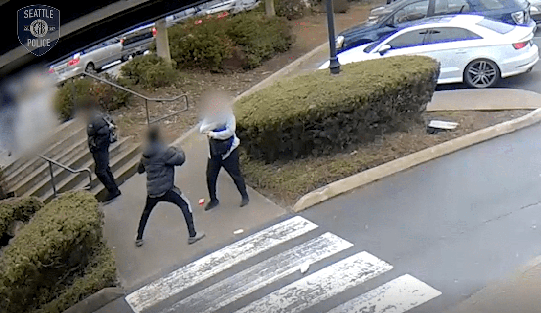 Police arrest 13-year-old after woman's purse stolen at West Seattle pharmacy (VIDEO)