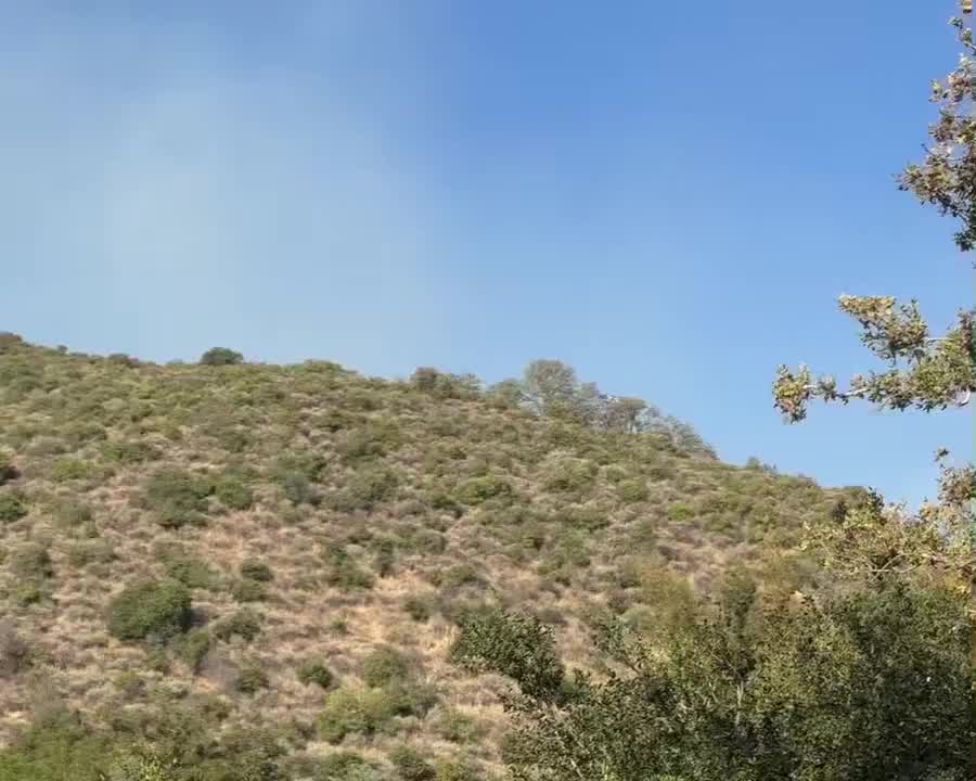 CalFire drops retardant on San Jose brush fire