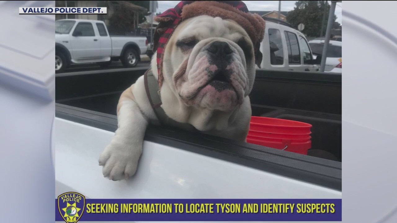 Gov't shutdown continues & dog stolen at knife point | Take 2: Live News from San Francisco