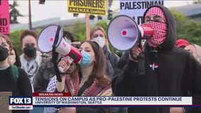 Scuffle breaks out at University of Washington pro-Palestine protest