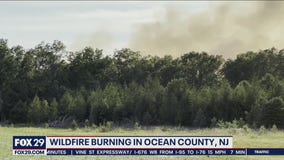 New wildfire burning in Burlington County state forest