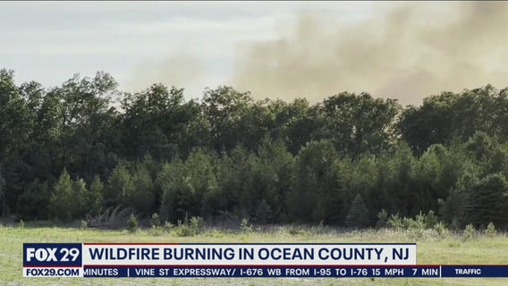 New wildfire burning in Burlington County state forest
