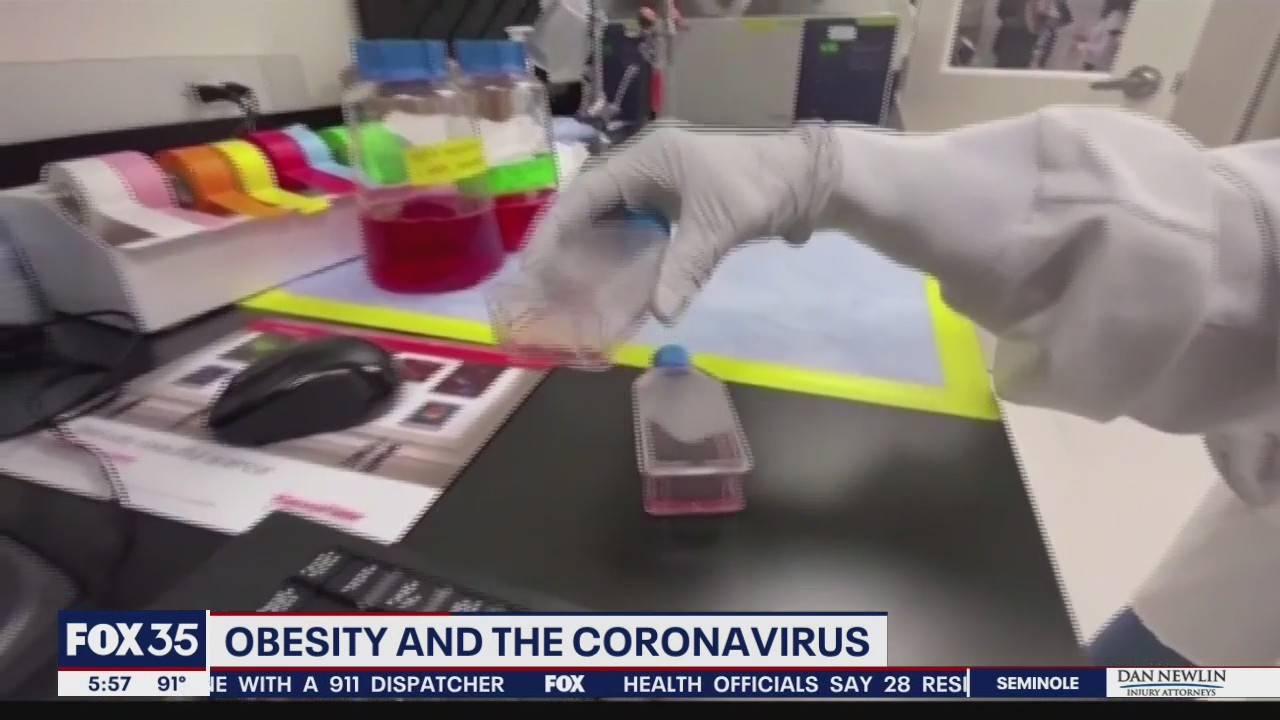 Obesity and coronavirus vaccine effectiveness