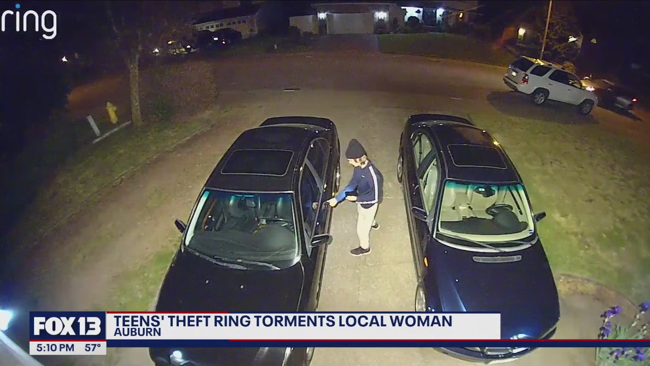Woman ?tormented? by Auburn teens' car theft ring