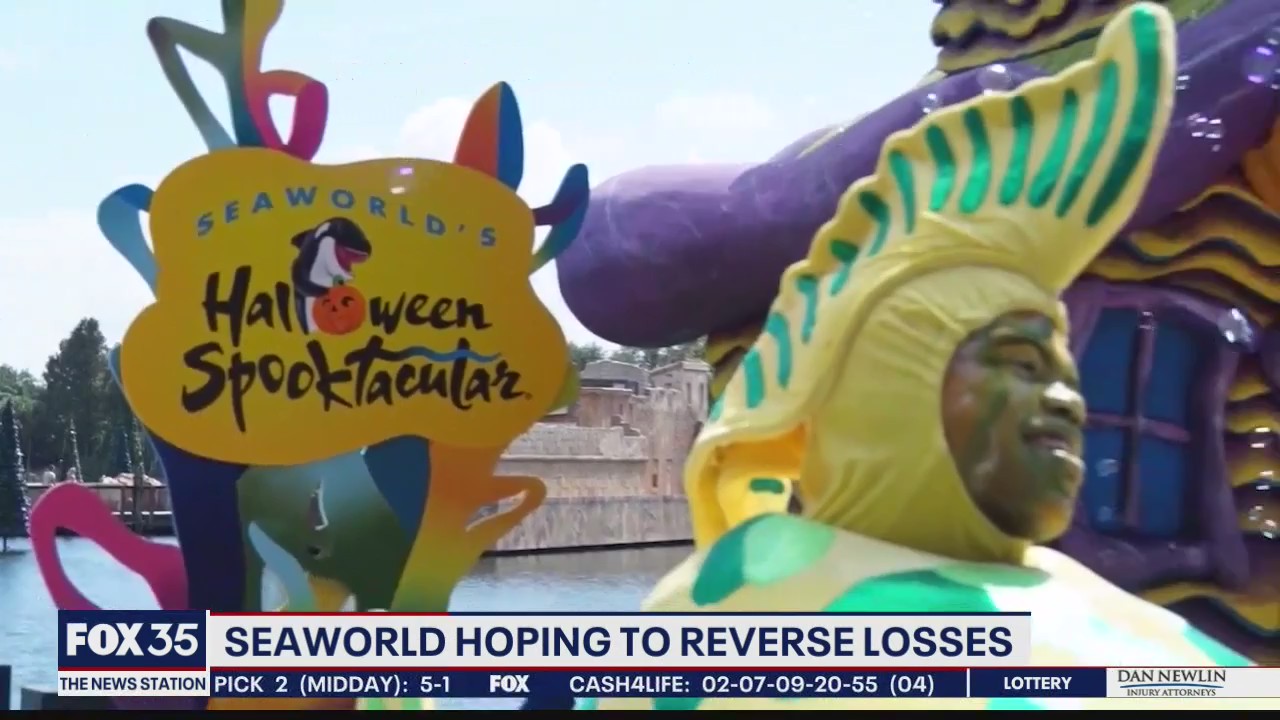SeaWorld hoping to reverse losses