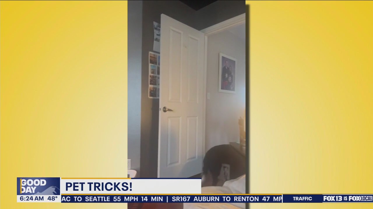 Pet Tricks for Thursday, May 30