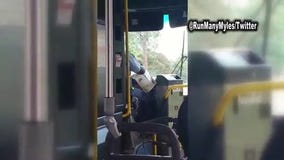 Metro bus driver reads newspaper while driving