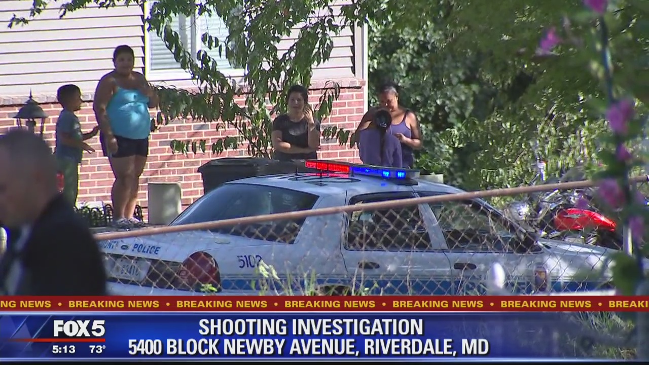 Police investigating shooting in Riverdale