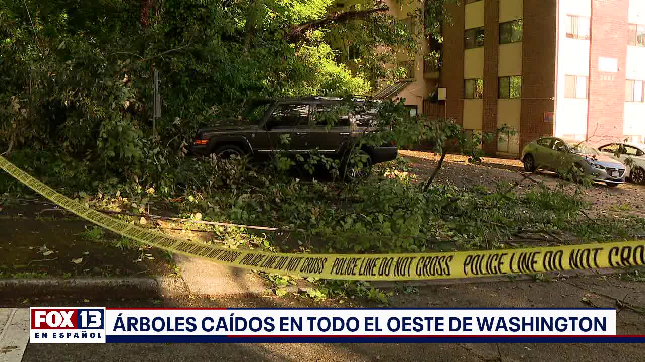 ?ltimas noticias con el noticiero FOX 13 Seattle: Lunes, 3 de junio