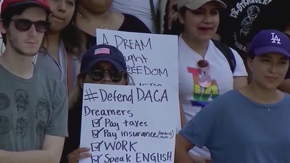 Inside the Dreamer movement