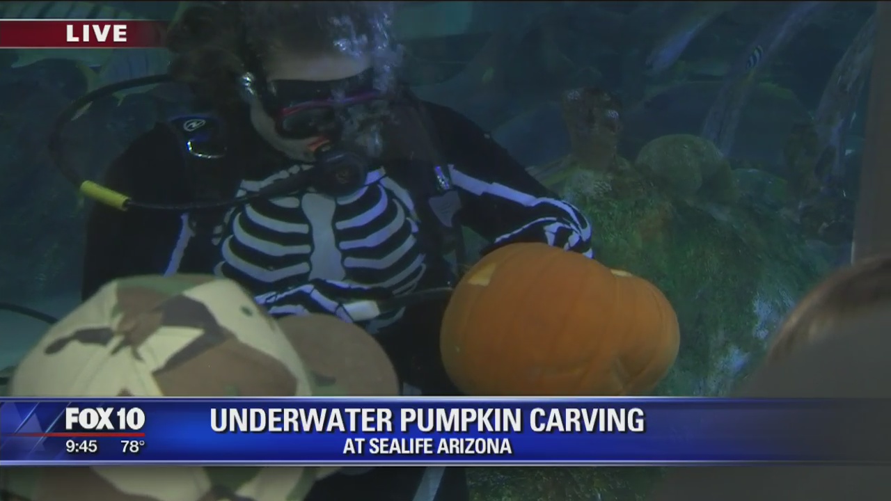 Underwater pumpkin carving at Sea Life Arizona