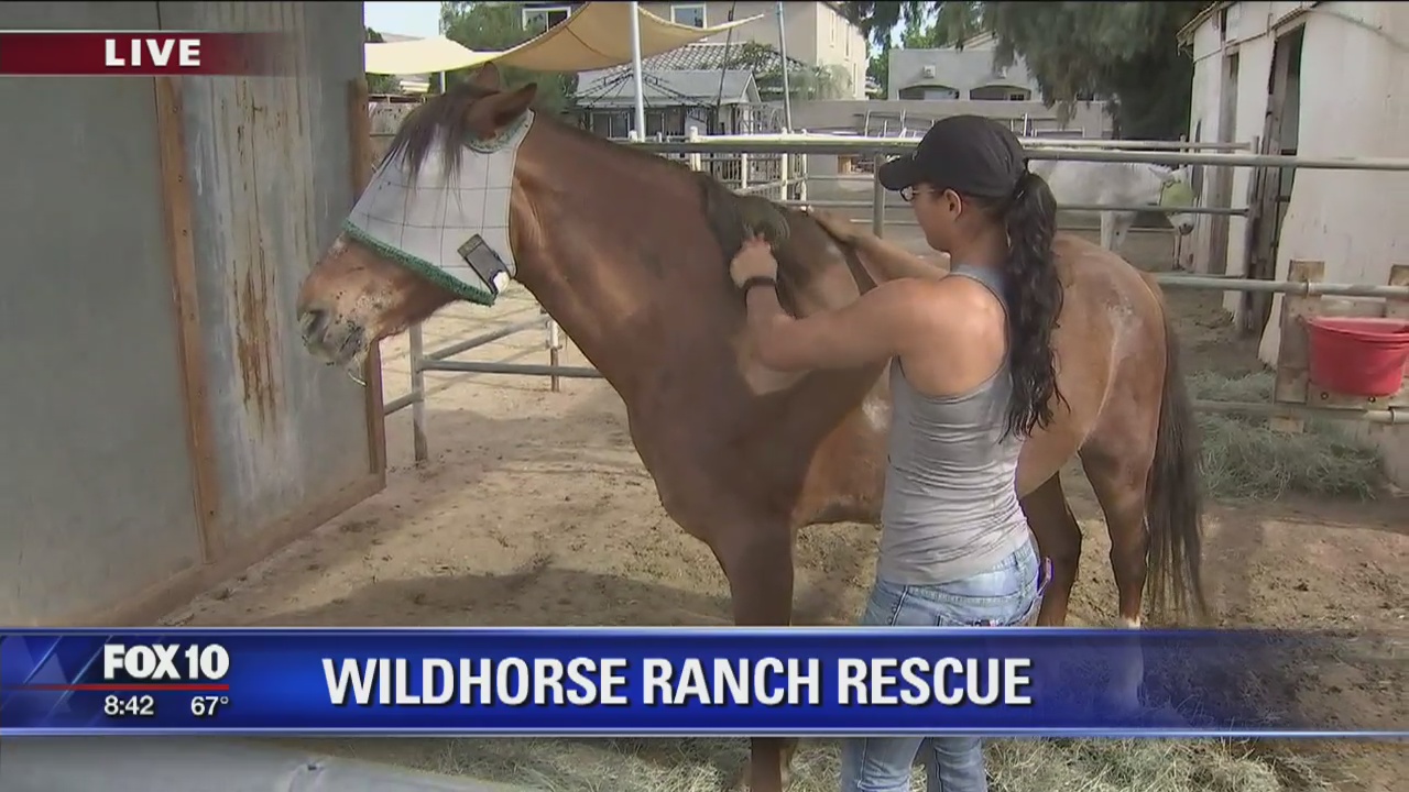 Wildhorse Ranch Rescue | FOX 10 Phoenix