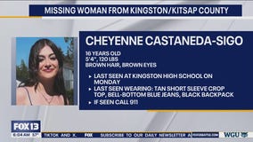 Missing Kingston teen considered at-risk
