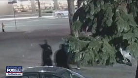 Massive shootout along Aurora Avenue in Greenwood