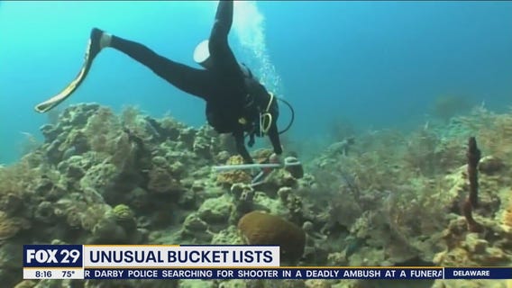 Two Mikes & a Bill: Unusual bucket lists