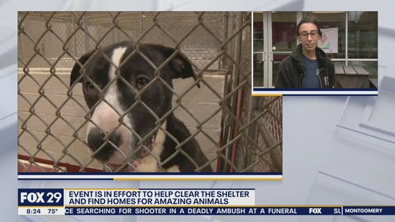 Pennsylvania's SPCA hosts $5 adoption event Saturday