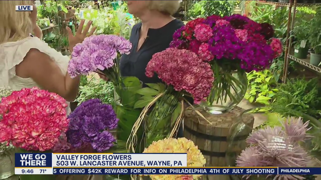 How to make carnations look fancy