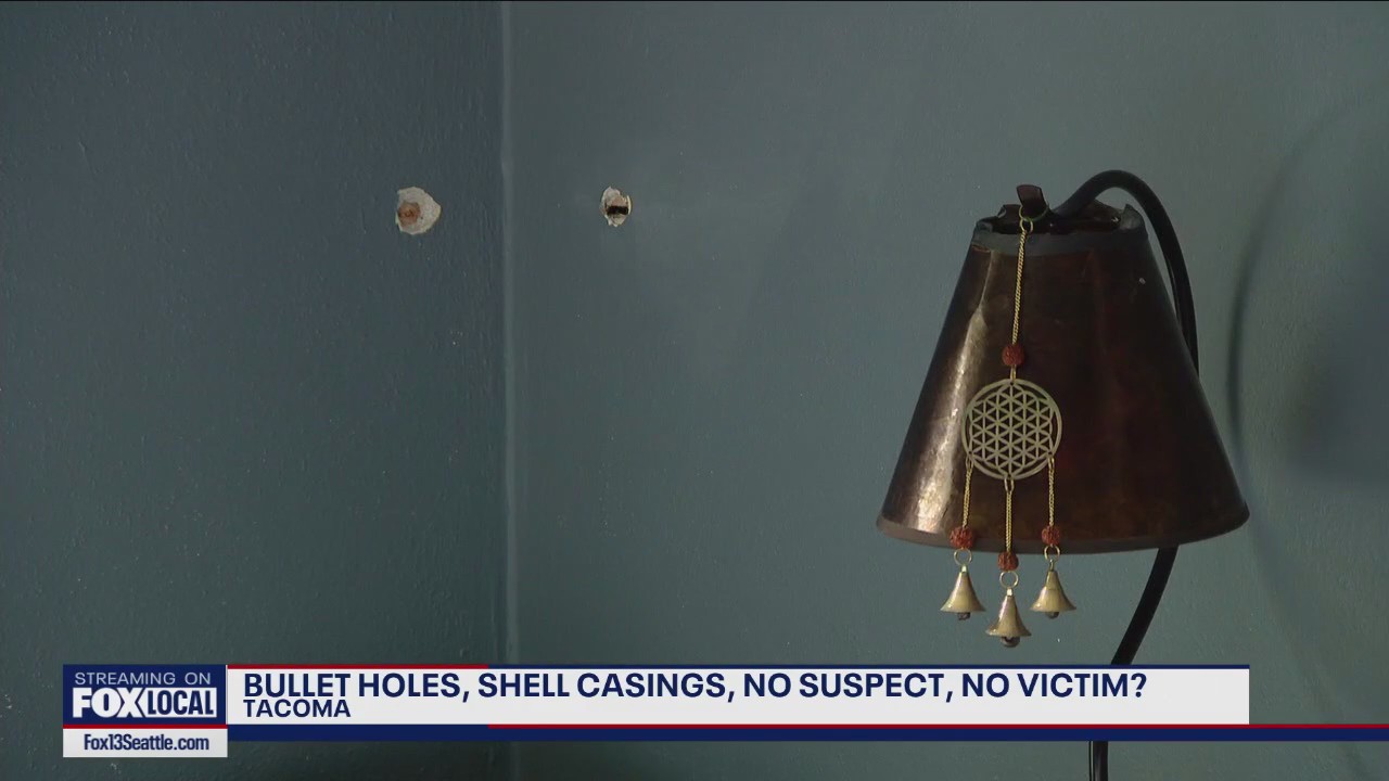 Stray bullets pepper homes near Tacoma park