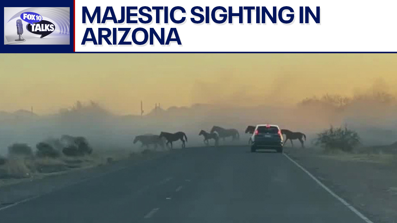 Check out this Arizona style traffic jam l FOX 10 Talks